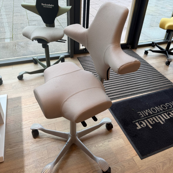 HAG Capisco 8106 - Elmosoft Pique Leder warm grey - Ausstellungsstück